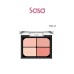 BOUNCY CHEEK & EYESHADOW