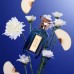 Icarus EDP Icarus EDP