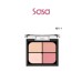 BOUNCY CHEEK & EYESHADOW