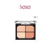 BOUNCY CHEEK & EYESHADOW