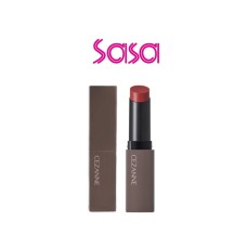 LIP COLOR SHIELD