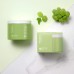 GREEN GRAPE PORE PEELING PAD 70S