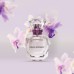 VIOLET EDP 30ML