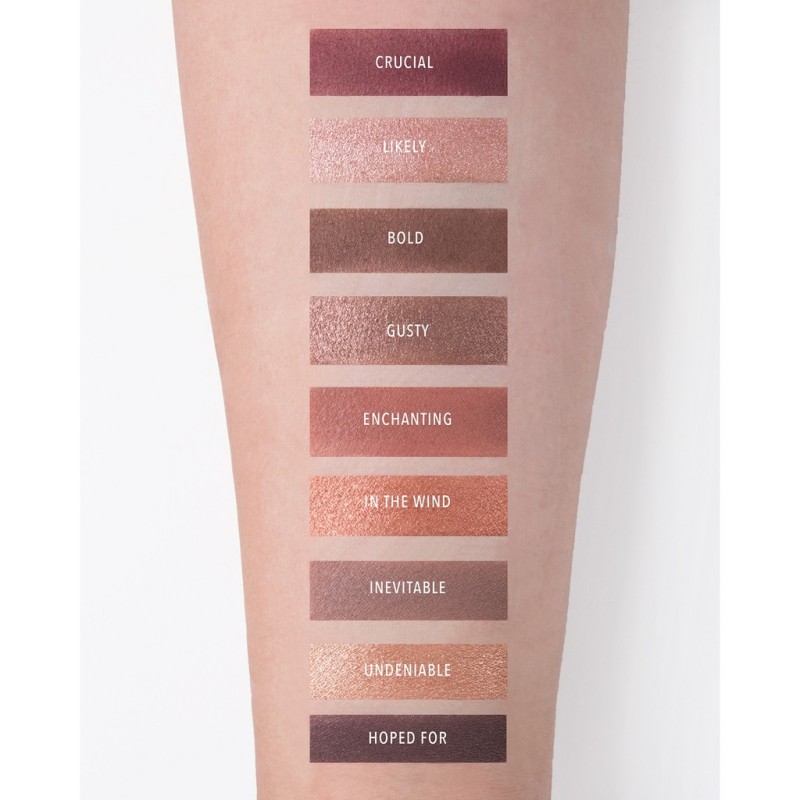 DESTINY EYE & FACE PALETTE